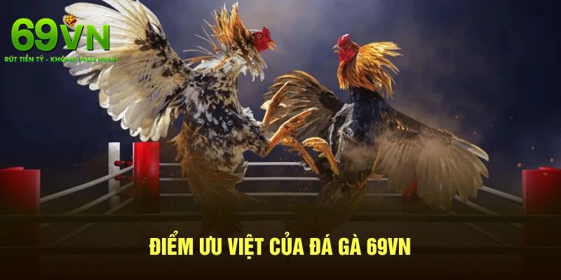 Đá Gà 69VN – Đấu Trường Đỉnh Cao Của Những Chiến Kê 2 Ưu điểm vượt bậc của đá gà 69VN